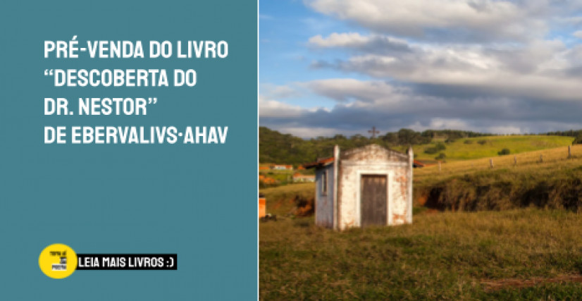 Livro A DESCOBERTA DO DR. NESTOR  de  EBERVALIVS•AHAV
