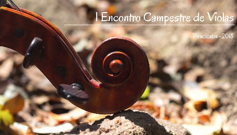 I Encontro Campestre de Violas 