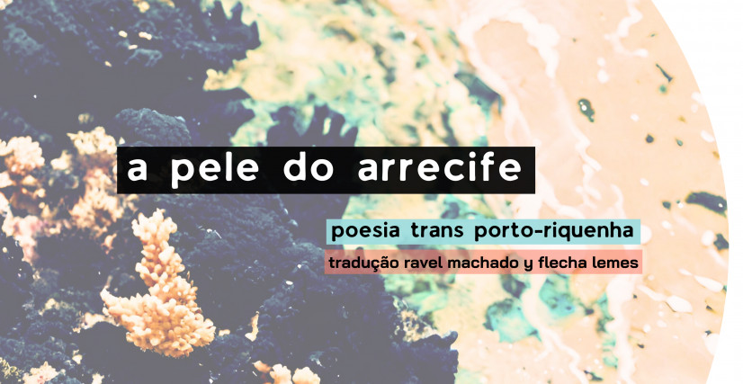 [pré-venda] a pele do arrecife ~  poesia trans porto-riquenha