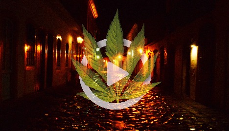As Histórias da Cannabis 