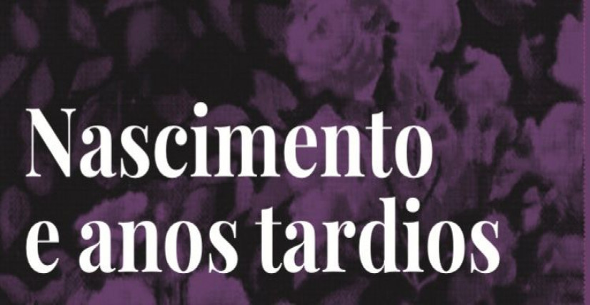 Nascimento e anos tardios de Irena Klepfisz