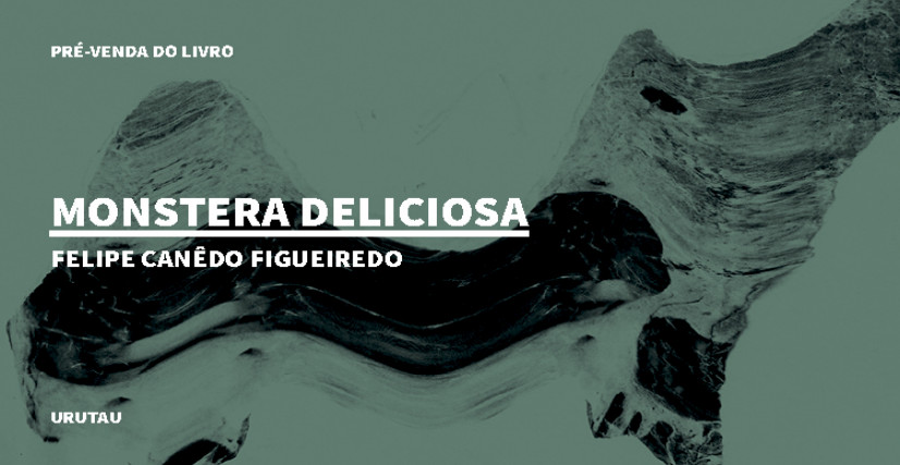 "MONSTERA DELICIOSA", DE FELIPE CANÊDO FIGUEIREDO