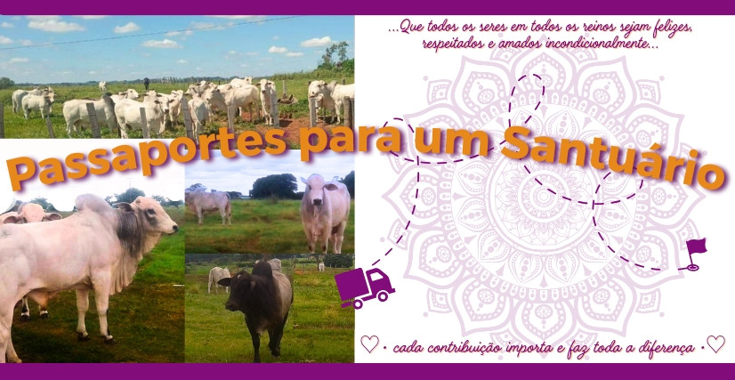 Passaportes para um Santuário