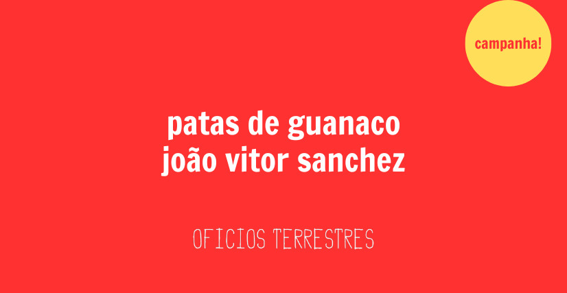 PATAS DE GUANACO, de João Vitor Sanchez