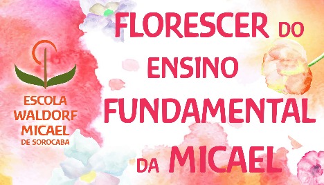ESCOLA MICAEL DE SOROCABA 
