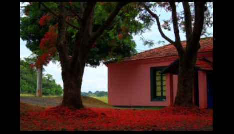 NESSA CASA TEM GOTEIRA
