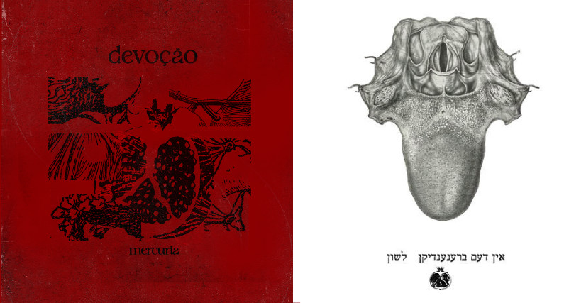 "devoção" e "na língua calcinada" por demonia editora