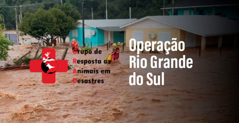 GRAD | Operação Rio Grande do Sul