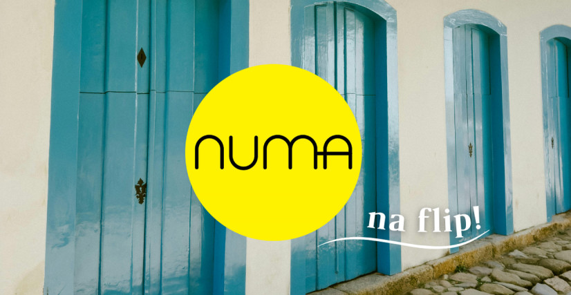 Numa na Flip!
