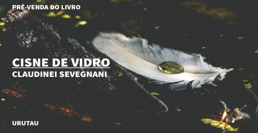 "CISNE DE VIDRO", DE CLAUDINEI SEVEGNANI