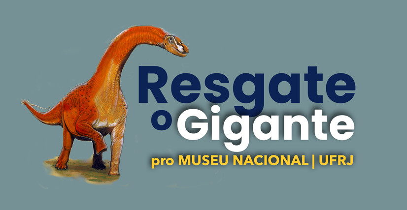 Resgate o Gigante pro Museu Nacional/UFRJ: montagem do Maxakalisaurus topai