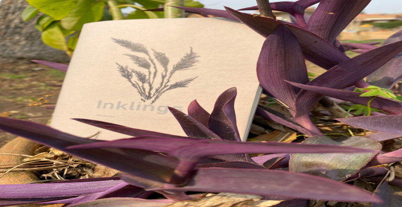 INKLINGS - um livro de vislumbres de Allan Kaplan