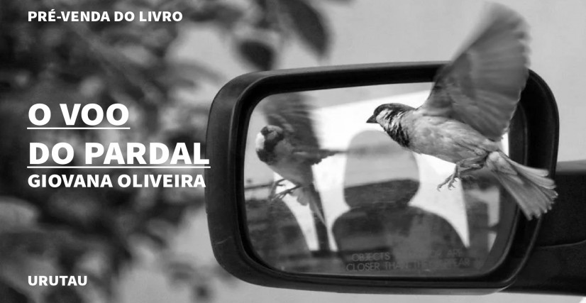 "O VOO DO PARDAL", DE GIOVANA OLIVEIRA
