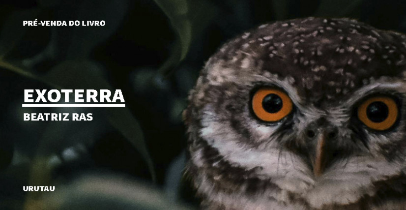 "EXOTERRA", DE BEATRIZ RAS