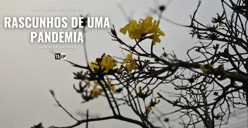 Pré-venda do Livro Rascunhos de uma pandemia, de Milena Kammer