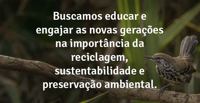 Nos Mananciais da Mata Atlântica