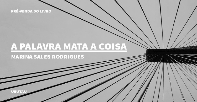"“A PALAVRA MATA A COISA” DE MARINA SALES RODRIGUES