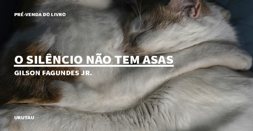 "O SILÊNCIO NÃO TEM ASAS", DE GILSON FAGUNDES JR.