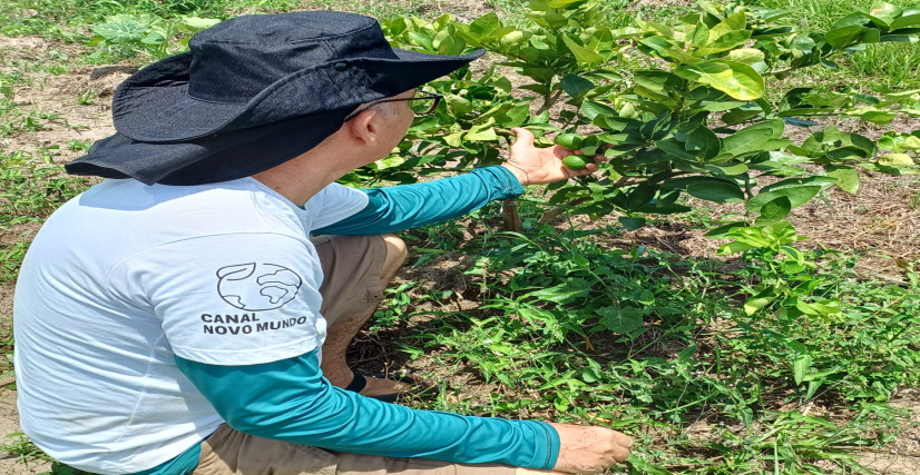 PROJETO MÃOS NA TERRA