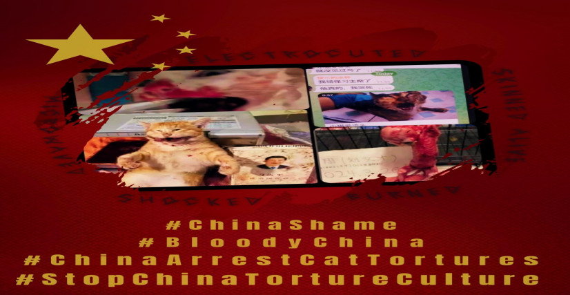 APOIE O BANNER DO PROTESTO DO PROF UGO NO CONSULADO DA CHINA NO RJ 21 FEV 2025