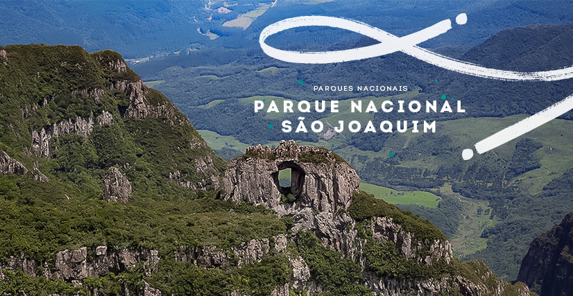 PARQUE NACIONAL SÃO JOAQUIM (PROJETO PARQUES NACIONAIS)