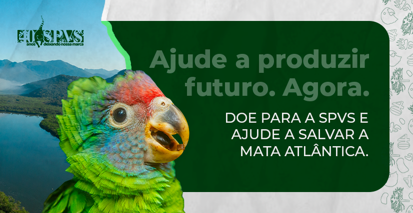 Produza Futuro! Agora! Com a SPVS