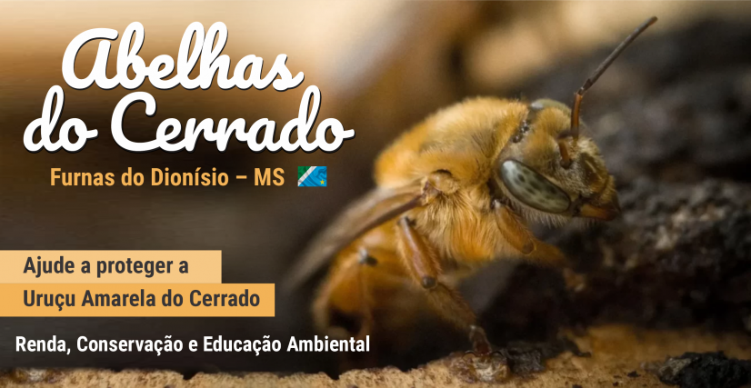 Conservação de Abelhas Nativas no Quilombo Furnas do Dionísio