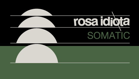 Rosa Idiota - Lançamento do CD \"Somatic\"