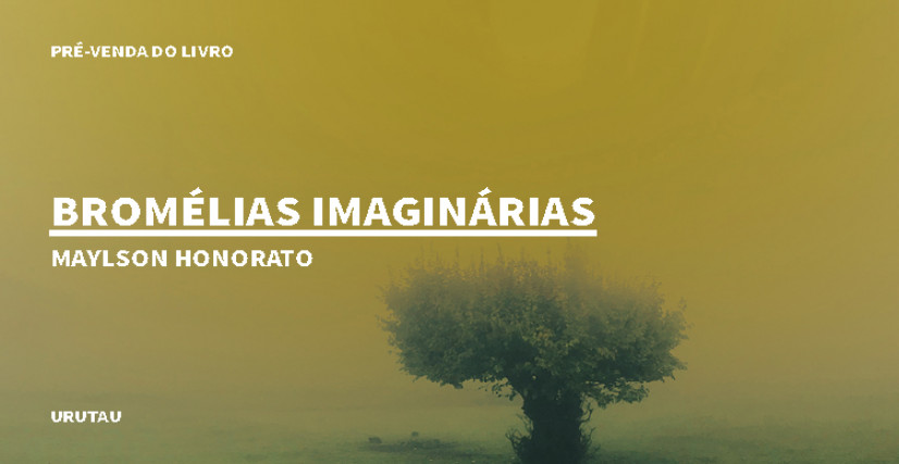 "BROMÉLIAS IMAGINÁRIAS", DE MAYLSON HONORATO