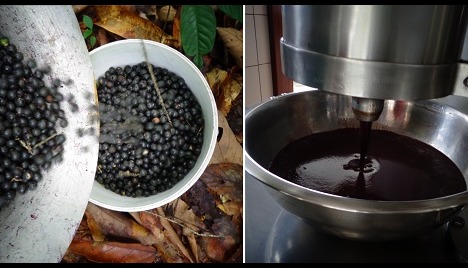 ENCOMENDA AÇAÍ DO PARÁ PRA BH
