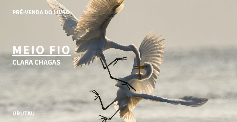 "MEIO FIO", DE CLARA CHAGAS