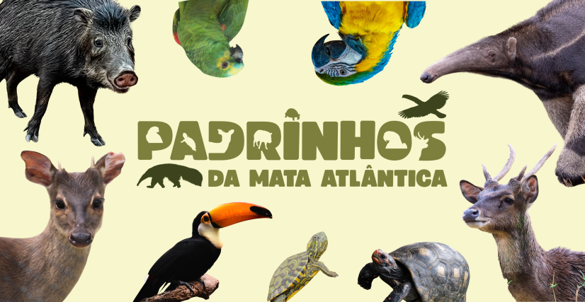 Padrinhos da Mata Atlântica