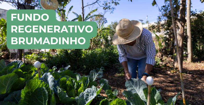 Fundo Regenerativo de Brumadinho