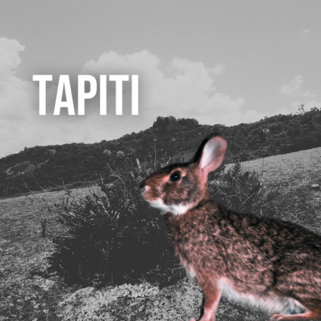 Plano Tapiti