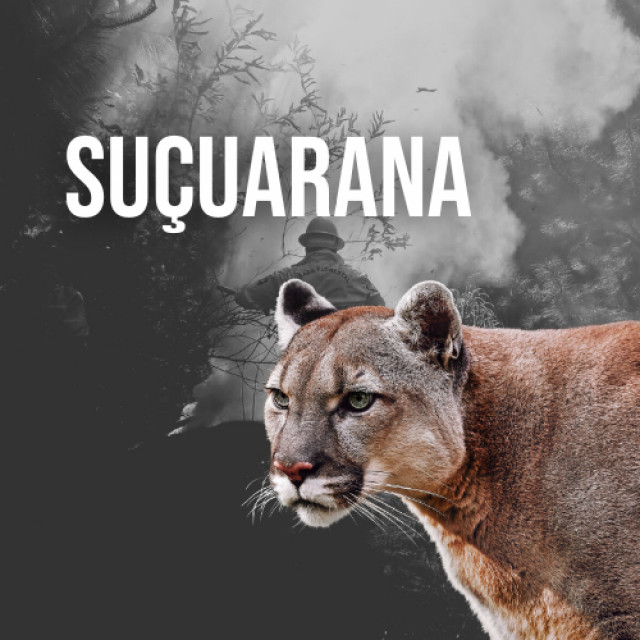 Plano Suçuarana