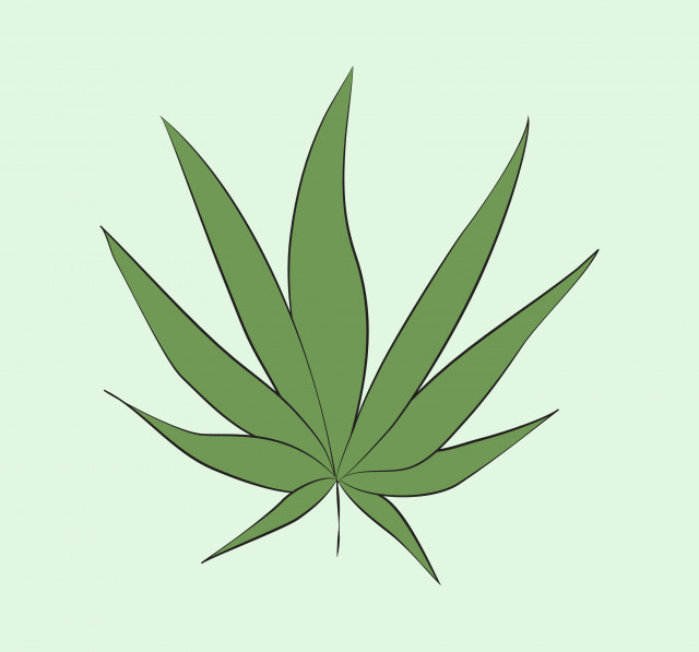 Vegetação