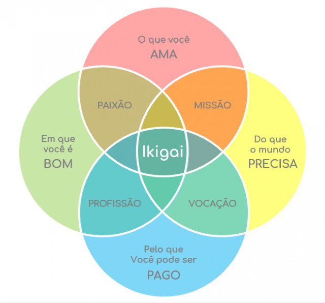 ELABORE O SEU IKIGAI