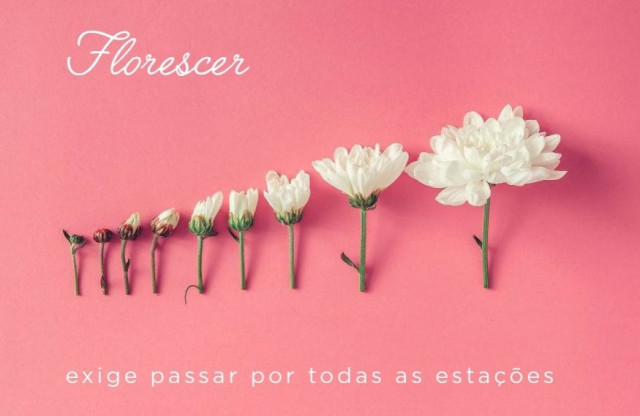 APOIO - SEMENTE PARA DOAÇÃO DE LIVROS