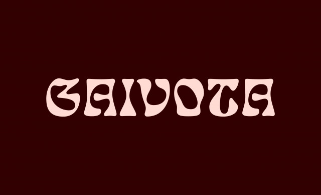 6 - GAIVOTA