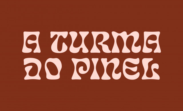 7 - A TURMA DO PINEL