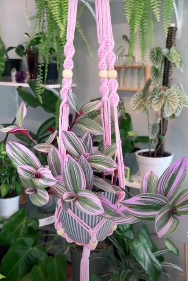 1 suporte de planta + vaso nº 2