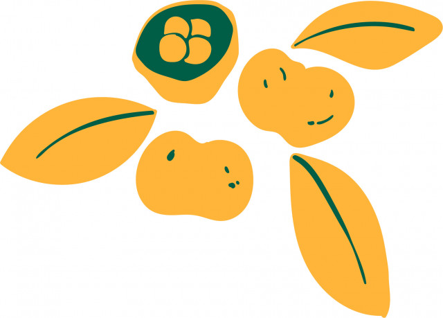 PEQUI