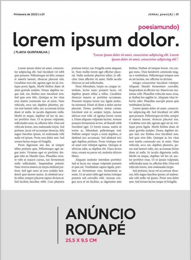 Anúncio Rodapé + ponto de distribuição