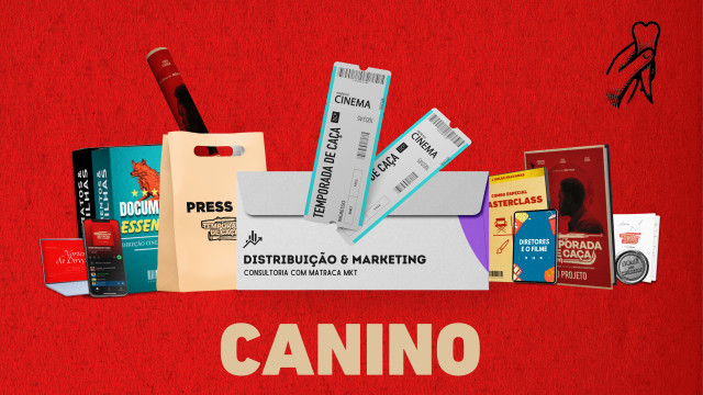 Nível 6: Canino