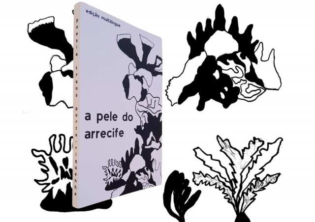 livro físico + kit de adesivos + pôster