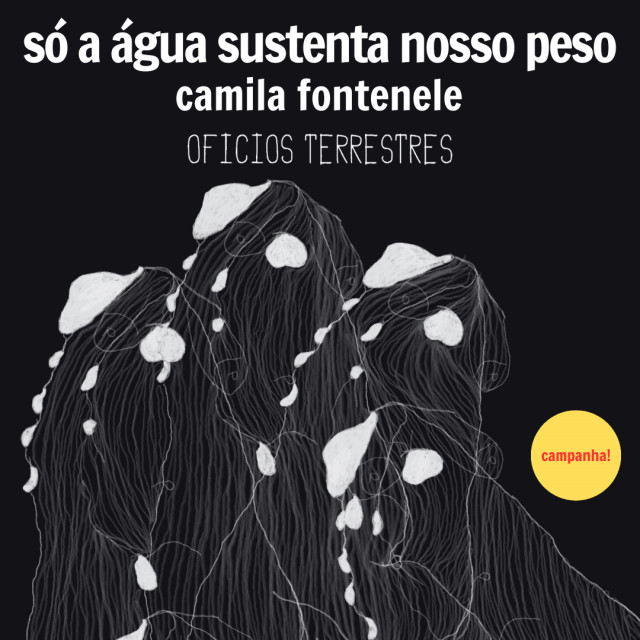 livro digital + nome na publicação