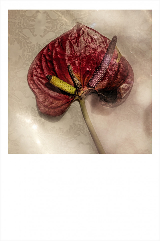 fine art 1