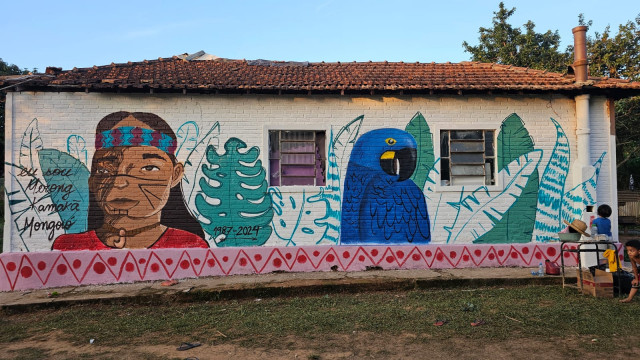 Colhendo abundância