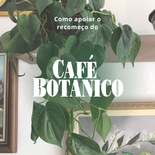 10x apoio