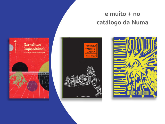 1 Livro Faixa Azul